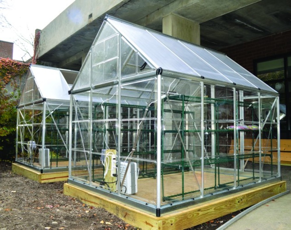 The greenhouses will soon house several kinds of fruits, vegetables and herbs. /ARIEL BROTHMAN